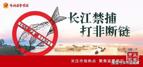 四川省樂山市市中區(qū)市場監(jiān)管局 亮劍“長江禁漁”，重拳整治漁具銷售見實(shí)效
